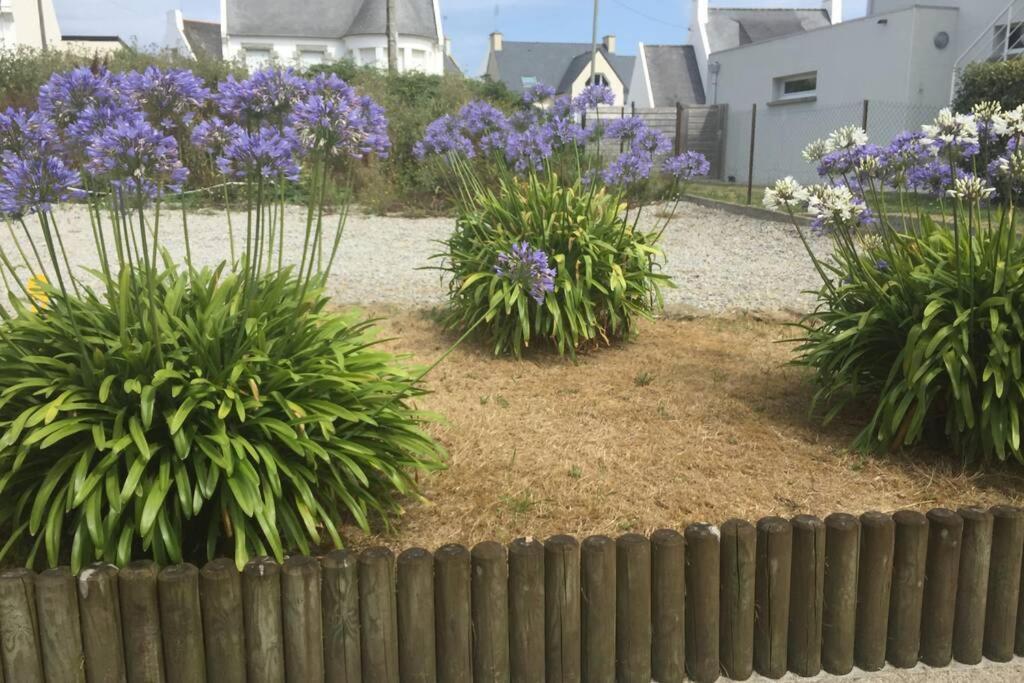 Pied A Terre Pour Des Vacances Au Bord De La Mer Le Conquet Eksteriør billede